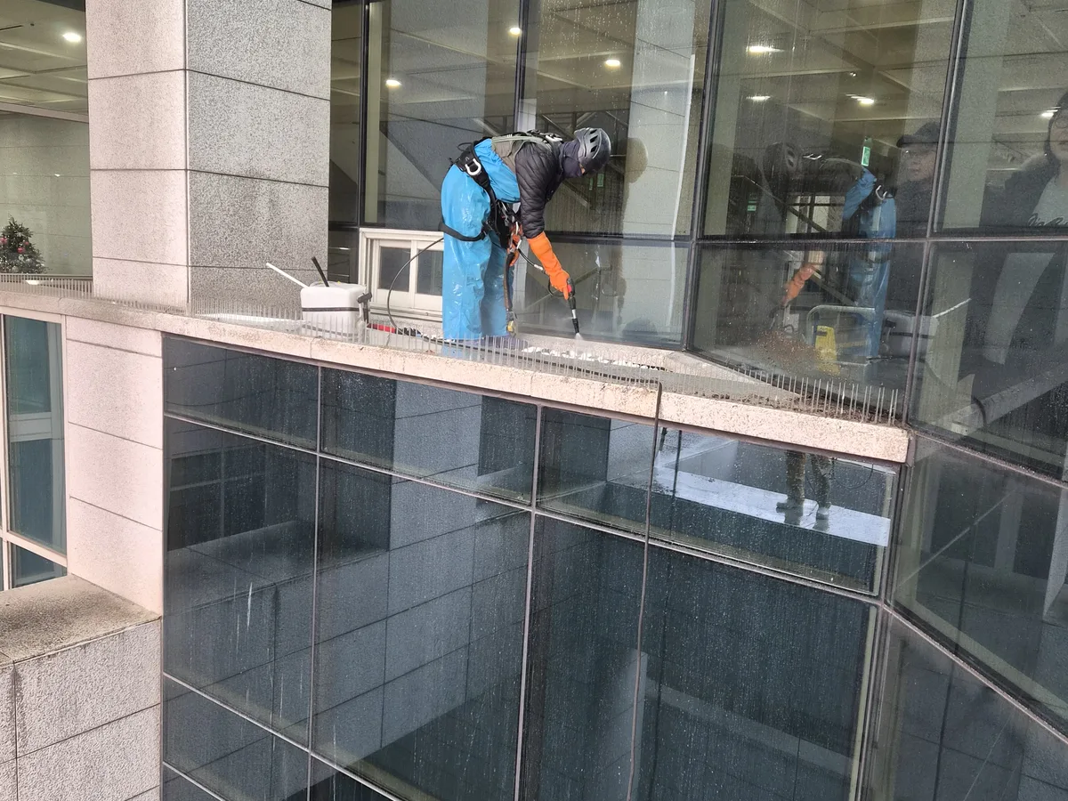 울릉군 북면 건물 복도·대기 동선 야간 위생청소 사례 - 행진크린